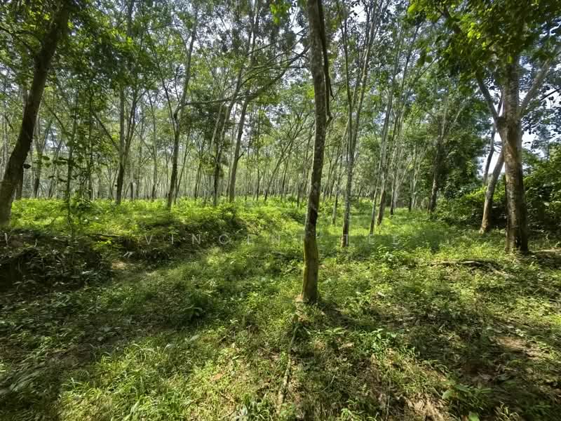 Agricultural Land for Sale in Alor Gajah (Melaka) - Vincent Tee - Garden - PropertyGuru.com.my