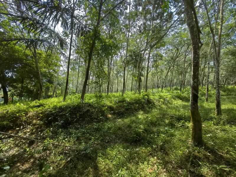 Agricultural Land for Sale in Alor Gajah (Melaka) - Vincent Tee - Garden - PropertyGuru.com.my