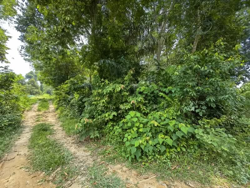 Agricultural Land for Sale in Alor Gajah (Melaka) - Vincent Tee - Exterior - PropertyGuru.com.my