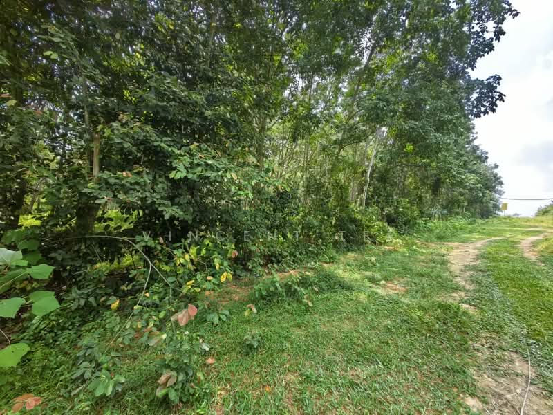 Agricultural Land for Sale in Alor Gajah (Melaka) - Vincent Tee - Exterior - PropertyGuru.com.my