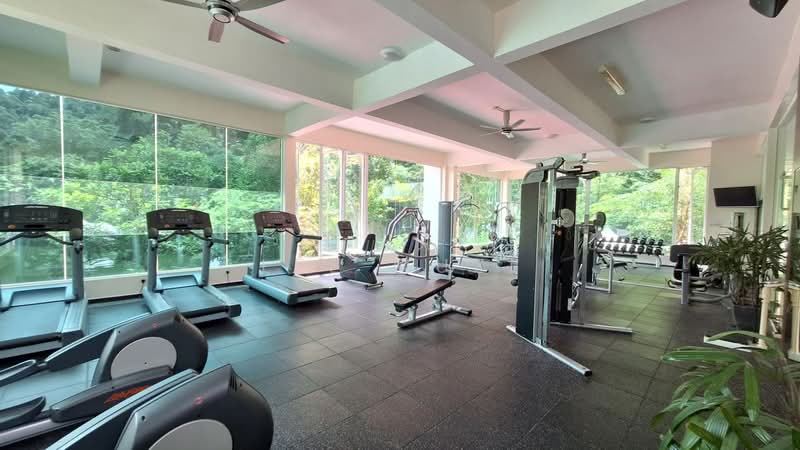Condominium for Rent at The Haven - Lee Muzi - Gym - PropertyGuru.com.my