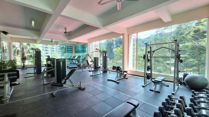 Condominium for Rent at The Haven - Lee Muzi - Gym - PropertyGuru.com.my