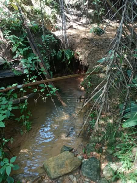Agricultural Land for Sale in Kampar (Perak) - Jenny Choong - Exterior - PropertyGuru.com.my