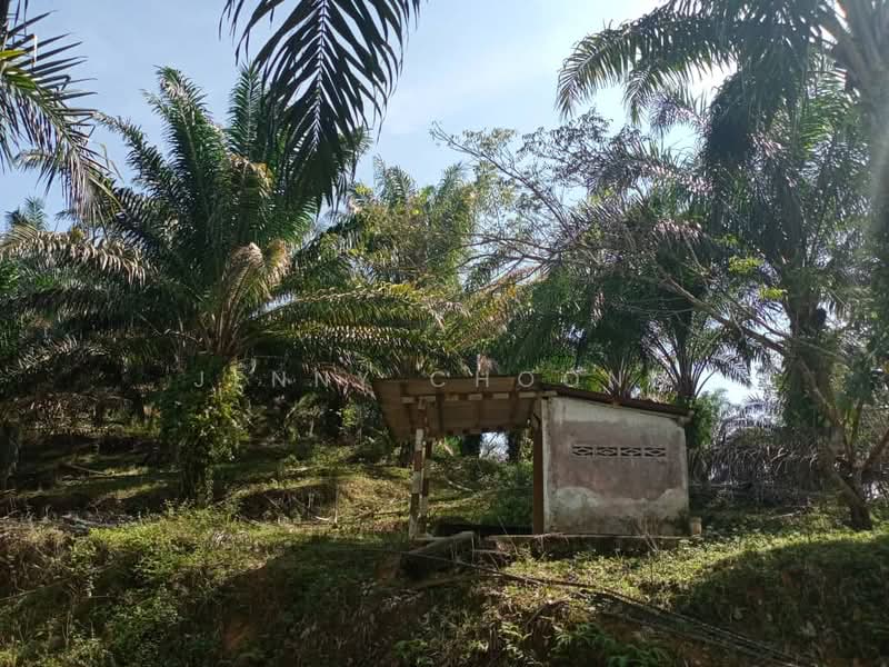 Agricultural Land for Sale in Kampar (Perak) - Jenny Choong - Exterior - PropertyGuru.com.my