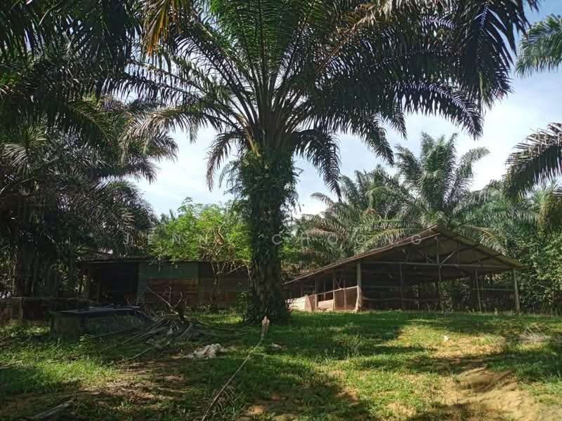 Agricultural Land for Sale in Kampar (Perak) - Jenny Choong - Exterior - PropertyGuru.com.my