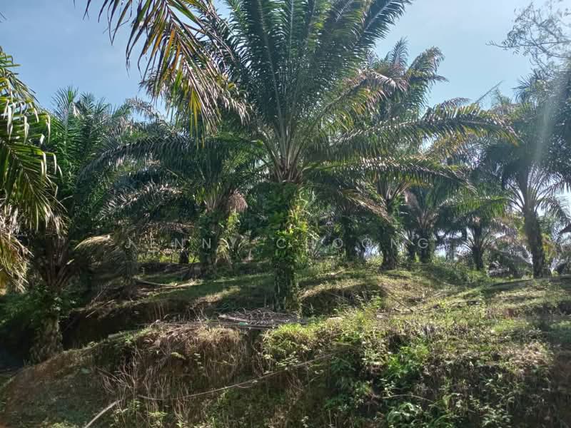 Agricultural Land for Sale in Kampar (Perak) - Jenny Choong - Exterior - PropertyGuru.com.my