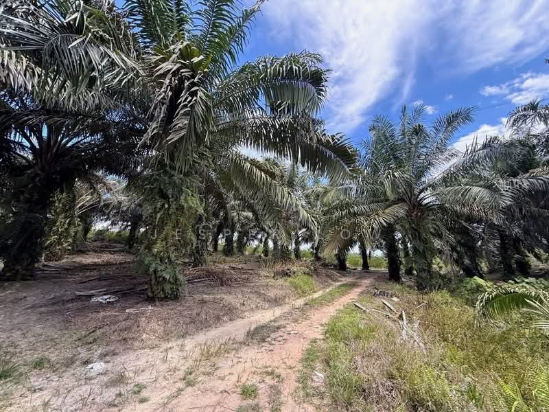 Industrial Land for Sale in Senai (Kulai) - Jesper Low - Exterior - PropertyGuru.com.my