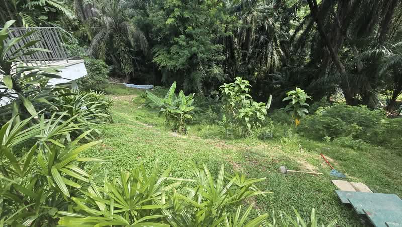 Vila Berkembar untuk Disewa di Bukit Tunku (Kenny Hills) (Kuala Lumpur) - Yvone Chong - PropertyGuru.com.my