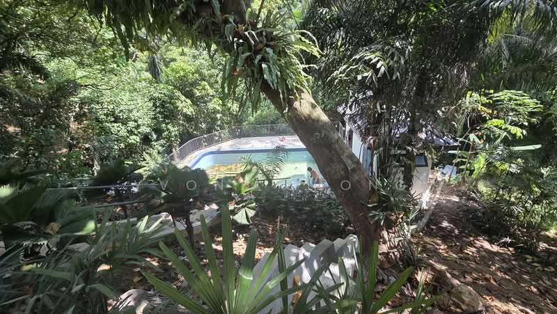 Vila Berkembar untuk Disewa di Bukit Tunku (Kenny Hills) (Kuala Lumpur) - Yvone Chong - PropertyGuru.com.my