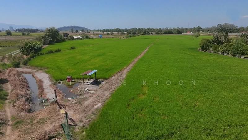 Agricultural Land for Sale in Bukit Mertajam (Penang) - Ooi Chee Khoon - Exterior - PropertyGuru.com.my