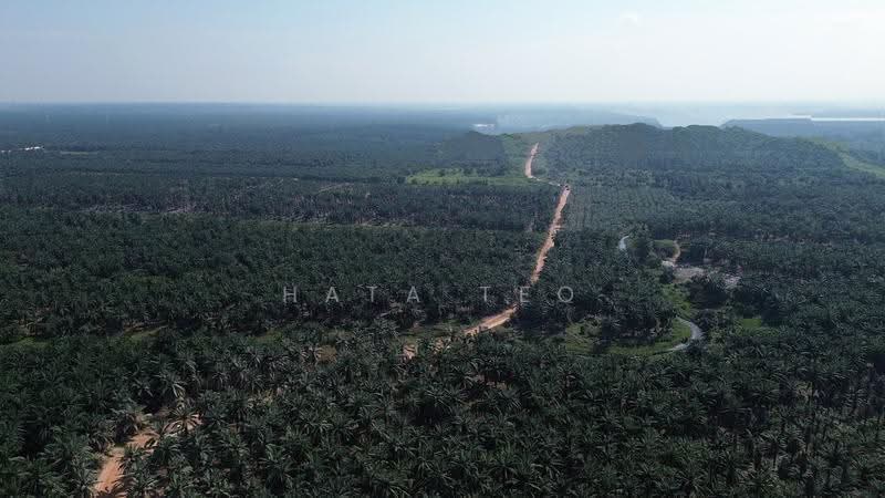 Tanah Perindustrian untuk Dijual di Banting (Selangor) - Hata Teo - PropertyGuru.com.my