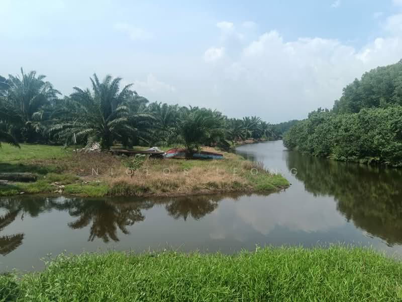 Agricultural Land for Sale in Kampung Larut Tih (Taiping) - Niclos Leong - PropertyGuru.com.my