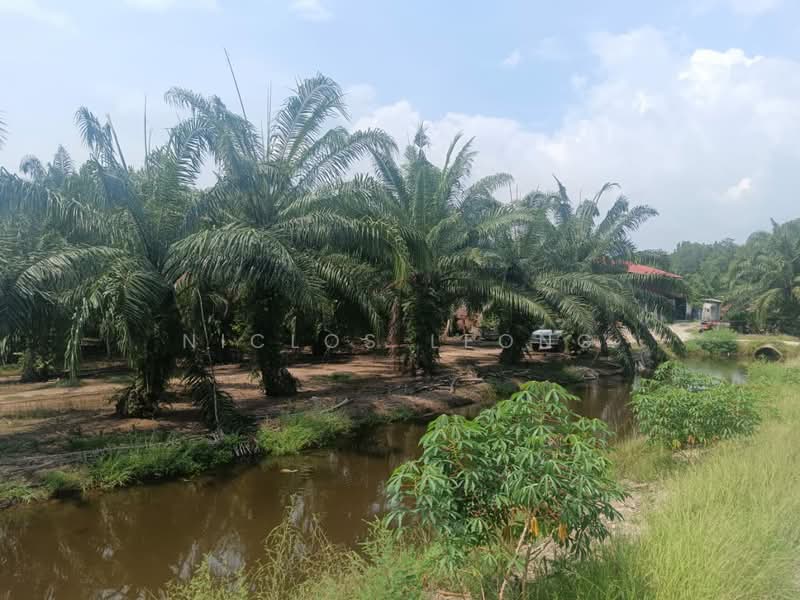 Agricultural Land for Sale in Kampung Larut Tih (Taiping) - Niclos Leong - PropertyGuru.com.my