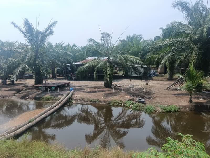 Agricultural Land for Sale in Kampung Larut Tih (Taiping) - Niclos Leong - PropertyGuru.com.my
