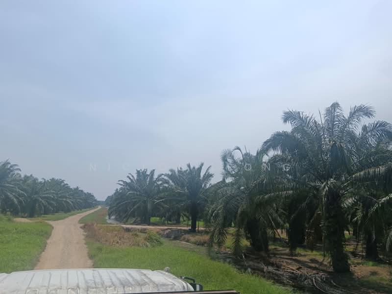 Agricultural Land for Sale in Kampung Larut Tih (Taiping) - Niclos Leong - PropertyGuru.com.my