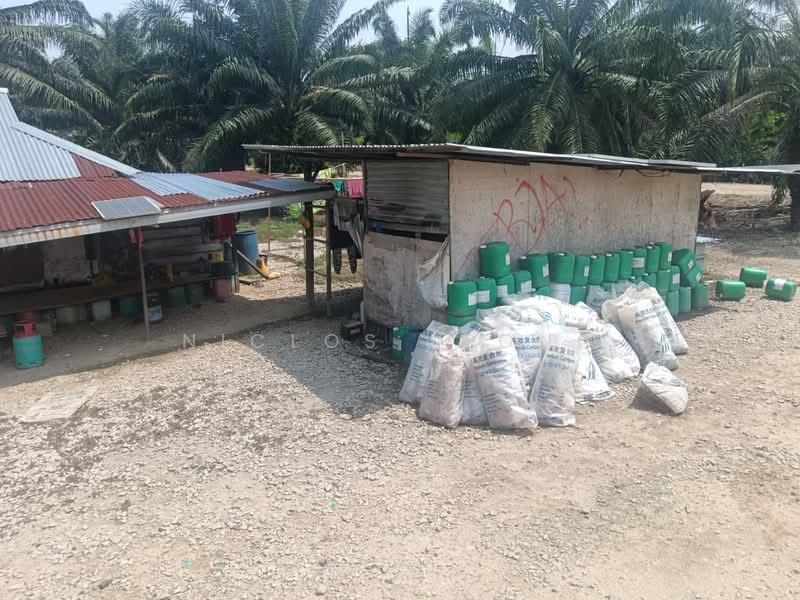 Agricultural Land for Sale in Kampung Larut Tih (Taiping) - Niclos Leong - PropertyGuru.com.my
