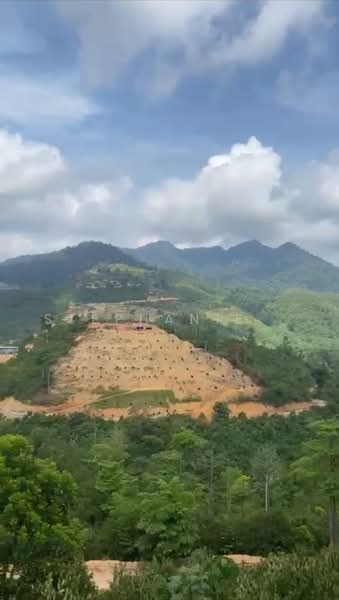 Tanah Pertanian untuk Dijual di Karak (Pahang) - Stephanie . - PropertyGuru.com.my