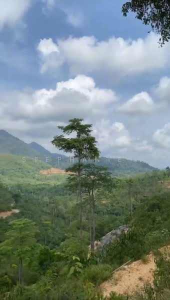 Tanah Pertanian untuk Dijual di Karak (Pahang) - Stephanie . - PropertyGuru.com.my
