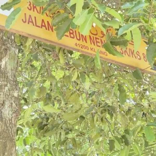 Rumah Teres 2-Tingkat untuk Dijual di Bandar Putera 2 (Klang) - Sabrina Chong - PropertyGuru.com.my
