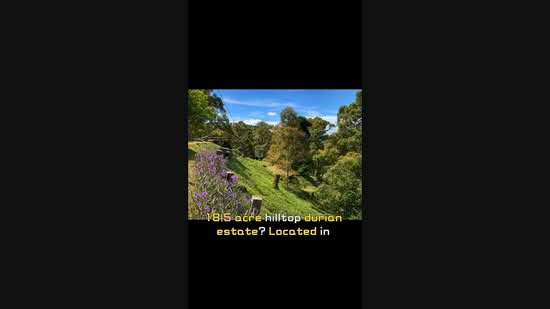 Agricultural Land for Sale in Balik Pulau (Penang) - Enoch Tiu - PropertyGuru.com.my