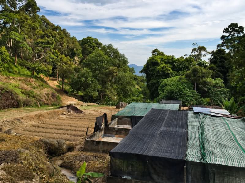 Agricultural Land for Sale in Balik Pulau (Penang) - Enoch Tiu - Exterior - PropertyGuru.com.my