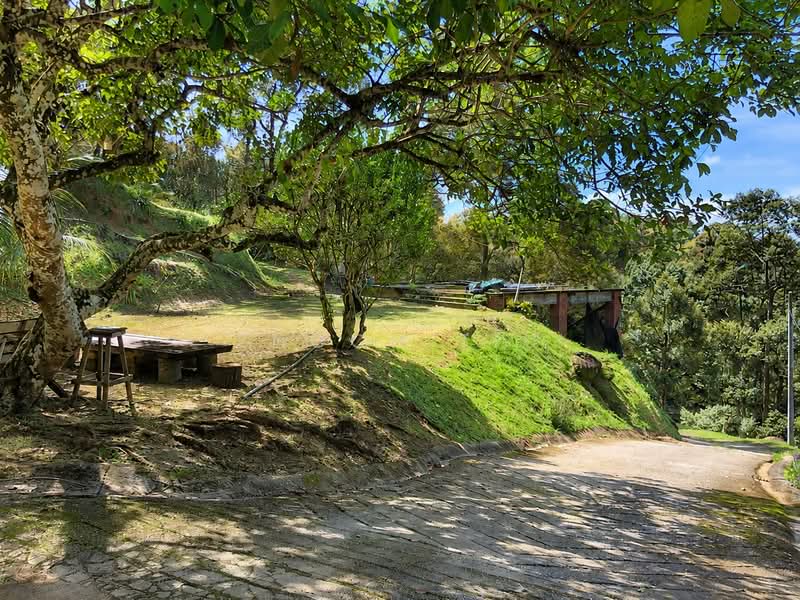 Agricultural Land for Sale in Balik Pulau (Penang) - Enoch Tiu - Garden - PropertyGuru.com.my