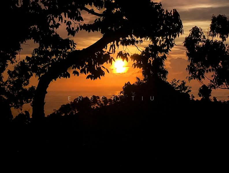 Agricultural Land for Sale in Balik Pulau (Penang) - Enoch Tiu - Exterior - PropertyGuru.com.my