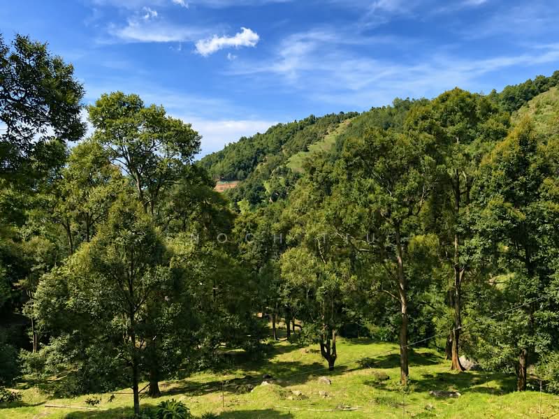 Agricultural Land for Sale in Balik Pulau (Penang) - Enoch Tiu - Exterior - PropertyGuru.com.my