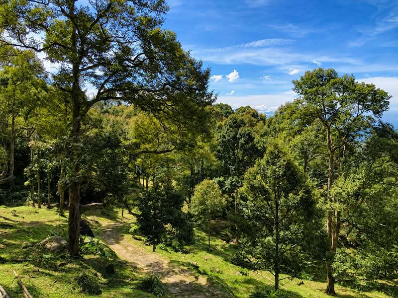 Agricultural Land for Sale in Balik Pulau (Penang) - Enoch Tiu - Exterior - PropertyGuru.com.my