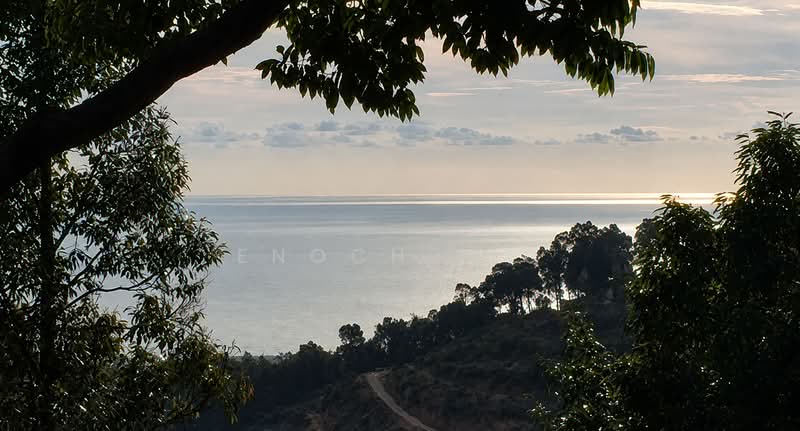 Agricultural Land for Sale in Balik Pulau (Penang) - Enoch Tiu - View - PropertyGuru.com.my