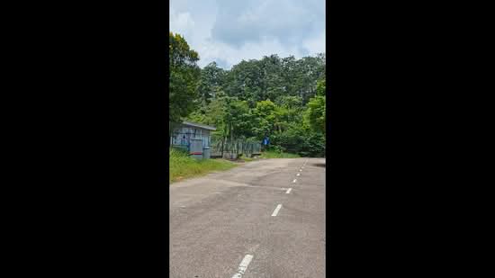 Tanah Pertanian untuk Dijual di Taman Desa Cemerlang (Ulu Tiram) - Mohd Faez - PropertyGuru.com.my