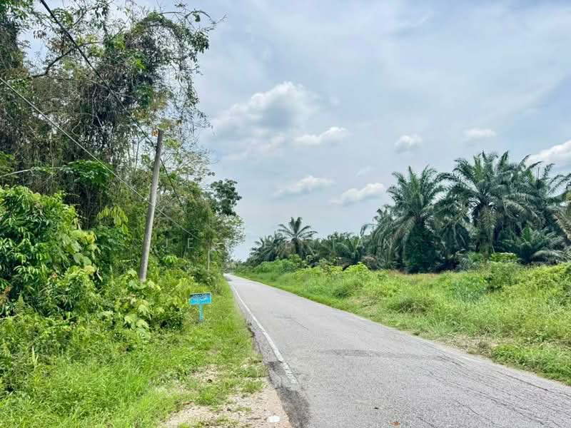 Tanah Pertanian untuk Dijual di Kampung Parit Jelutong Darat (Ayer Baloi) - Jessie Tan - Exterior - PropertyGuru.com.my
