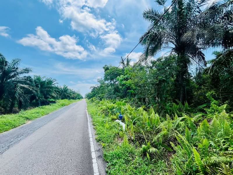 Tanah Pertanian untuk Dijual di Kampung Parit Jelutong Darat (Ayer Baloi) - Jessie Tan - Exterior - PropertyGuru.com.my