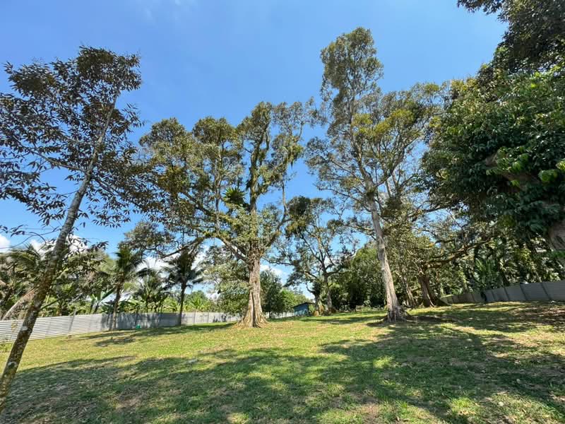 Agricultural Land for Sale in Kangkar Pulai (Skudai) - Jessie Tan - Exterior - PropertyGuru.com.my