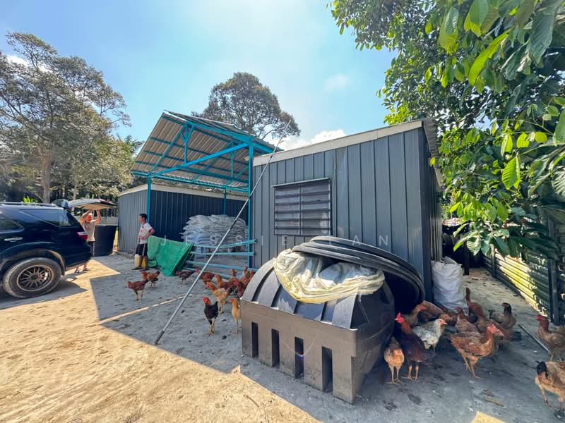Agricultural Land for Sale in Kangkar Pulai (Skudai) - Jessie Tan - Exterior - PropertyGuru.com.my