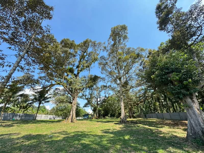 Agricultural Land for Sale in Kangkar Pulai (Skudai) - Jessie Tan - Exterior - PropertyGuru.com.my