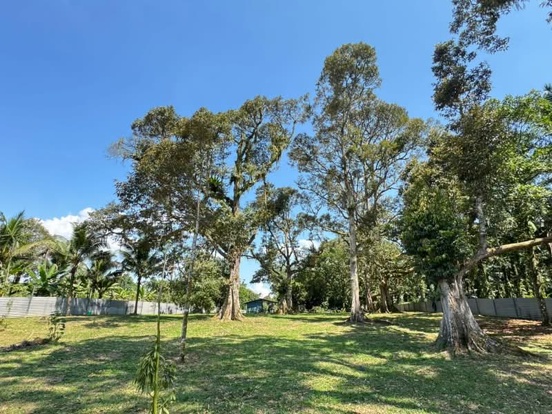Agricultural Land for Sale in Kangkar Pulai (Skudai) - Jessie Tan - Exterior - PropertyGuru.com.my