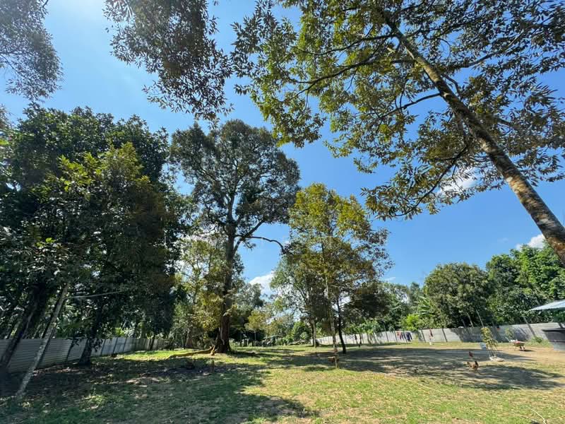 Agricultural Land for Sale in Kangkar Pulai (Skudai) - Jessie Tan - Garden - PropertyGuru.com.my