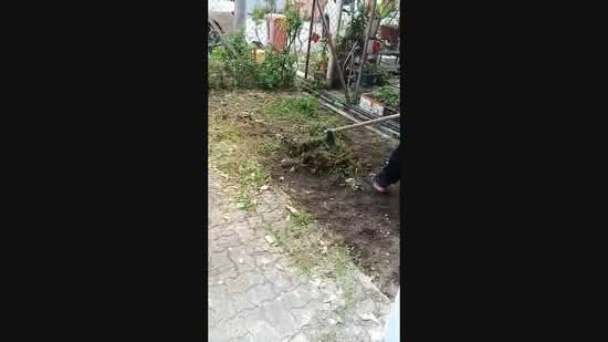 2-storey Terraced House for Sale in Pjs 10 (Sunway) - Tricia Peck Kwan Lim - PropertyGuru.com.my