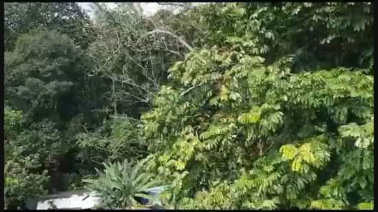 Commercial Land for Sale in Bukit Antarabangsa (Ulu Kelang) - Jamie Chen - PropertyGuru.com.my