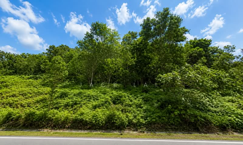 Agricultural Land for Sale in Kapar (Selangor) - Jack Lai - Exterior - PropertyGuru.com.my