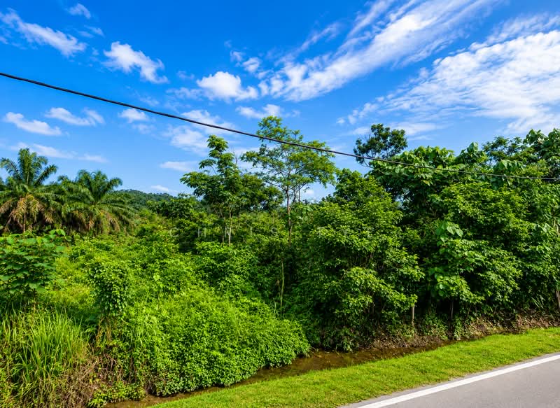 Tanah Pertanian untuk Dijual di Tanjung Malim (Tanjung Malim) - Chris Tye - Exterior - PropertyGuru.com.my