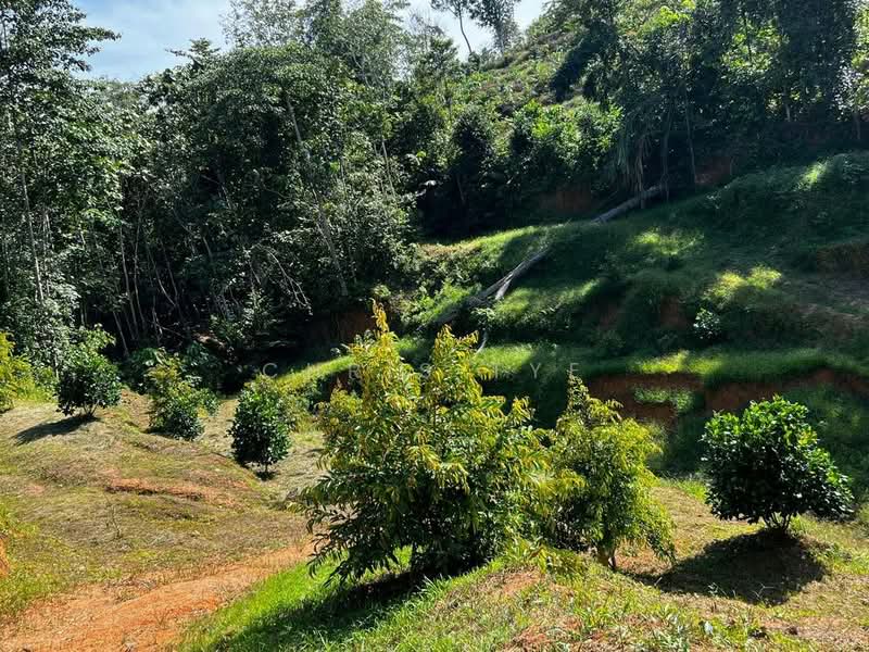 Tanah Pertanian untuk Dijual di Tanjung Malim (Tanjung Malim) - Chris Tye - Exterior - PropertyGuru.com.my