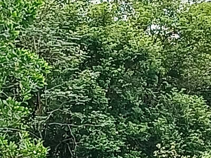 Industrial Land for Sale in Bandar Baru Sungai Buloh (Sungai Buloh) - Y.L. Yong - PropertyGuru.com.my