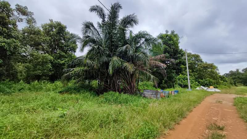 Industrial Land for Rent in Tanjung Kupang (Iskandar Puteri (Nusajaya)) - Eric Er - PropertyGuru.com.my