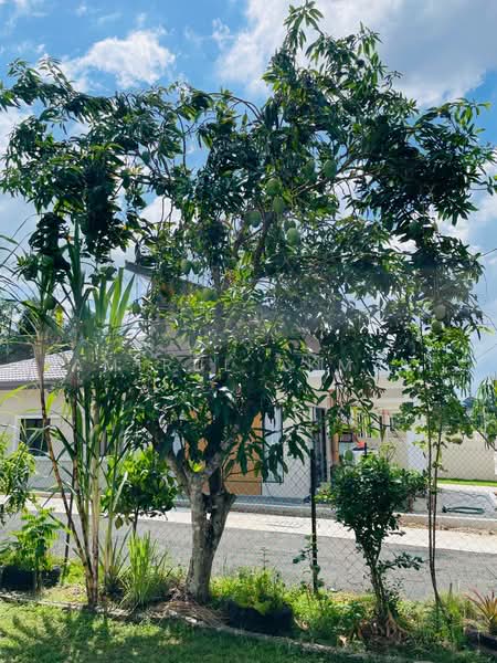 2-storey Terraced House for Sale in Bandar Baru Salak Tinggi (Sepang) - Amirul Akmal - Exterior - PropertyGuru.com.my