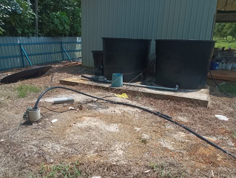 Tanah Pertanian untuk Dijual di Kampung Hulu Gali (Gali) - Chin SH - PropertyGuru.com.my
