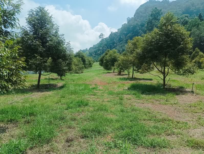 Tanah Pertanian untuk Dijual di Kampung Hulu Gali (Gali) - Chin SH - PropertyGuru.com.my
