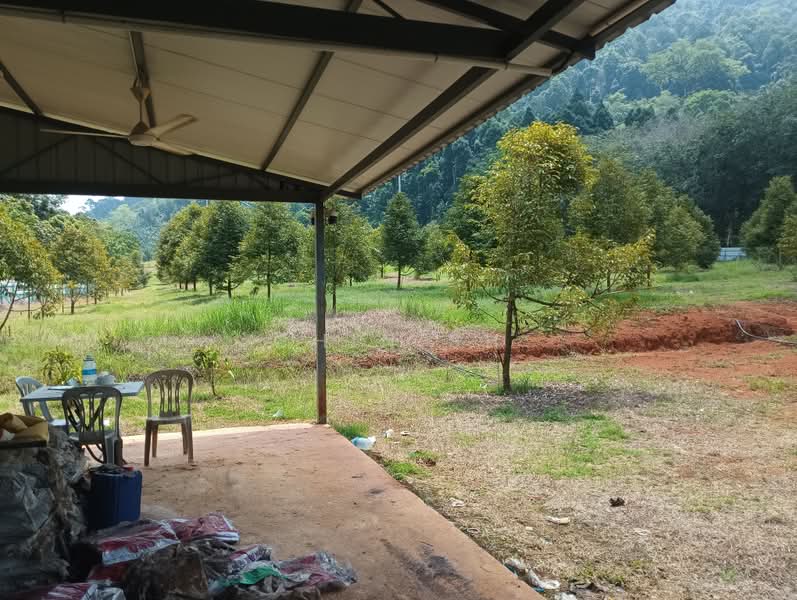 Tanah Pertanian untuk Dijual di Kampung Hulu Gali (Gali) - Chin SH - PropertyGuru.com.my