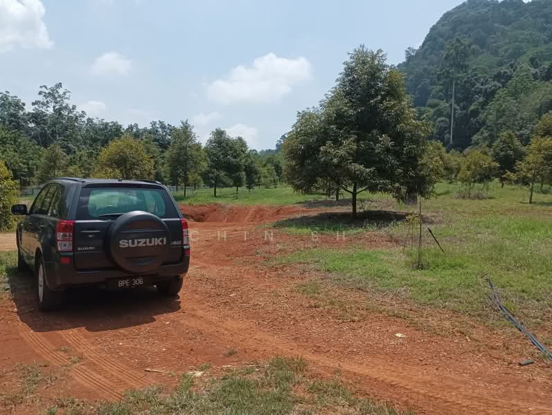 Tanah Pertanian untuk Dijual di Kampung Hulu Gali (Gali) - Chin SH - PropertyGuru.com.my